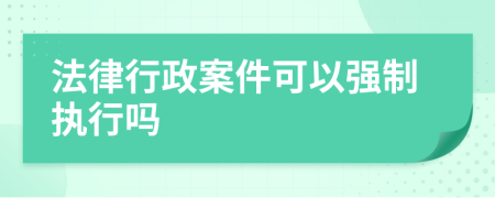 法律行政案件可以强制执行吗