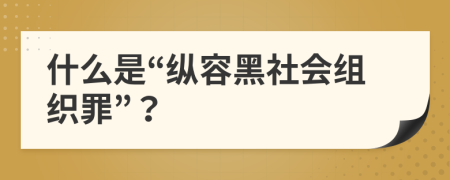 什么是“纵容黑社会组织罪”？