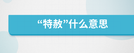 “特赦”什么意思