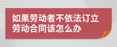 如果劳动者不依法订立劳动合同该怎么办