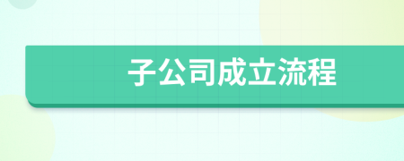 子公司成立流程