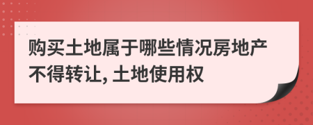 购买土地属于哪些情况房地产不得转让, 土地使用权