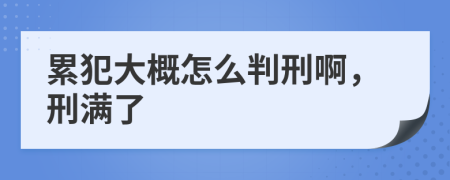 累犯大概怎么判刑啊，刑满了
