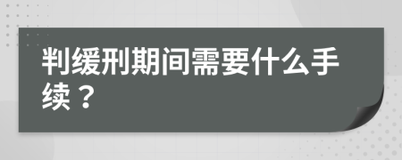 判缓刑期间需要什么手续？