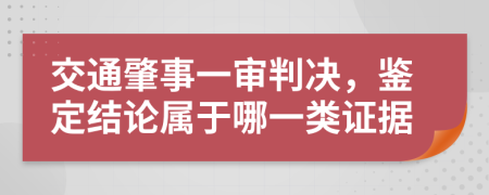 交通肇事一审判决，鉴定结论属于哪一类证据