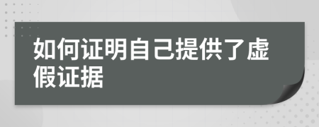 如何证明自己提供了虚假证据