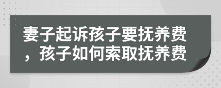 妻子起诉孩子要抚养费，孩子如何索取抚养费