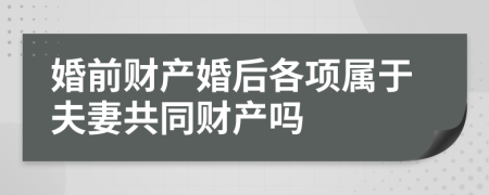 婚前财产婚后各项属于夫妻共同财产吗