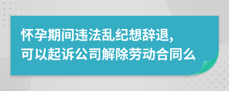 怀孕期间违法乱纪想辞退, 可以起诉公司解除劳动合同么