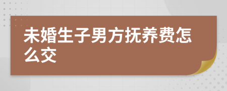 未婚生子男方抚养费怎么交