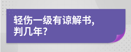 轻伤一级有谅解书, 判几年?