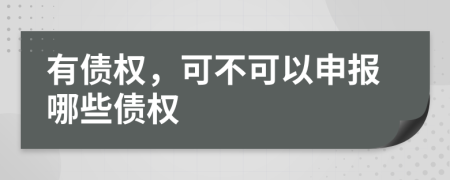 有债权，可不可以申报哪些债权