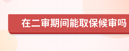 在二审期间能取保候审吗