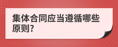 集体合同应当遵循哪些原则?