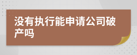 没有执行能申请公司破产吗