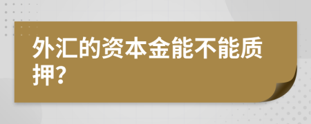 外汇的资本金能不能质押？