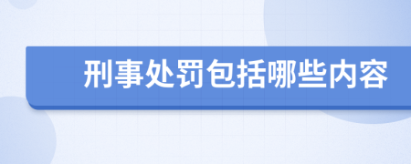 刑事处罚包括哪些内容