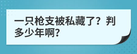 一只枪支被私藏了？判多少年啊？