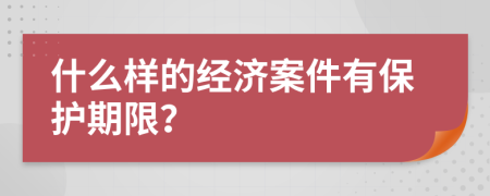 什么样的经济案件有保护期限？