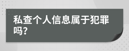 私查个人信息属于犯罪吗？