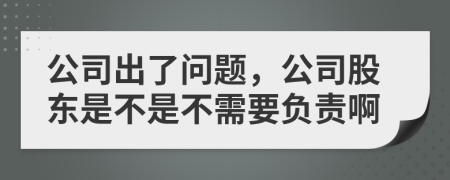 公司出了问题，公司股东是不是不需要负责啊