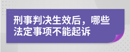 刑事判决生效后，哪些法定事项不能起诉