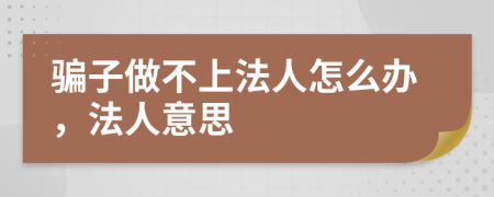 骗子做不上法人怎么办，法人意思