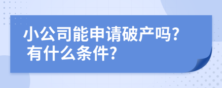 小公司能申请破产吗? 有什么条件?