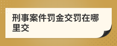 刑事案件罚金交罚在哪里交