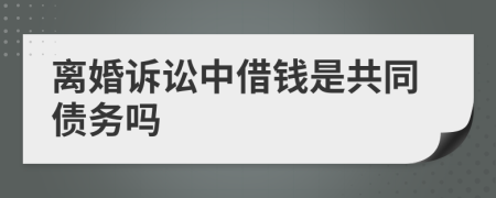 离婚诉讼中借钱是共同债务吗