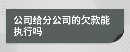 公司给分公司的欠款能执行吗