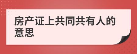 房产证上共同共有人的意思