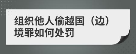 组织他人偷越国（边）境罪如何处罚
