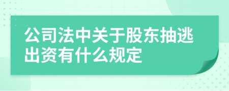 公司法中关于股东抽逃出资有什么规定