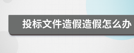 投标文件造假造假怎么办