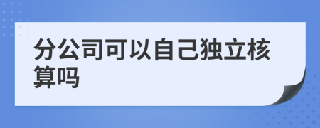 分公司可以自己独立核算吗