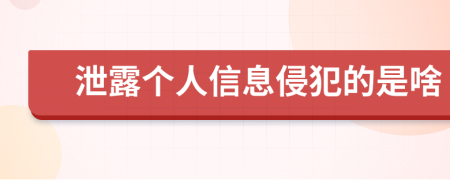 泄露个人信息侵犯的是啥