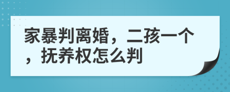 家暴判离婚，二孩一个，抚养权怎么判