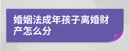 婚姻法成年孩子离婚财产怎么分