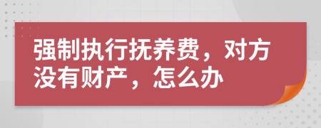 强制执行抚养费，对方没有财产，怎么办