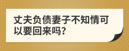 丈夫负债妻子不知情可以要回来吗？