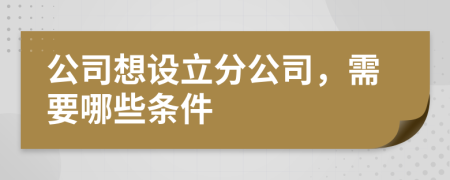 公司想设立分公司，需要哪些条件