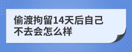 偷渡拘留14天后自己不去会怎么样