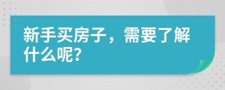 新手买房子，需要了解什么呢？