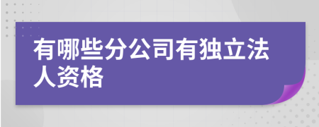 有哪些分公司有独立法人资格