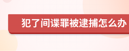 犯了间谍罪被逮捕怎么办