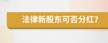 法律新股东可否分红？