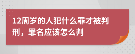 12周岁的人犯什么罪才被判刑，罪名应该怎么判