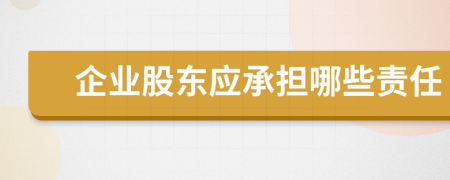 企业股东应承担哪些责任