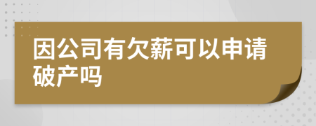 因公司有欠薪可以申请破产吗